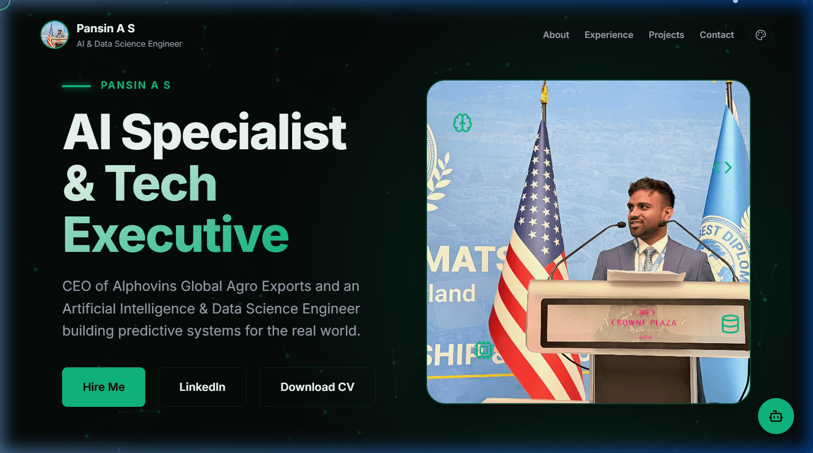 Pansinas Digital homepage screenshot displaying interactive sections, premium typography, and clean branding